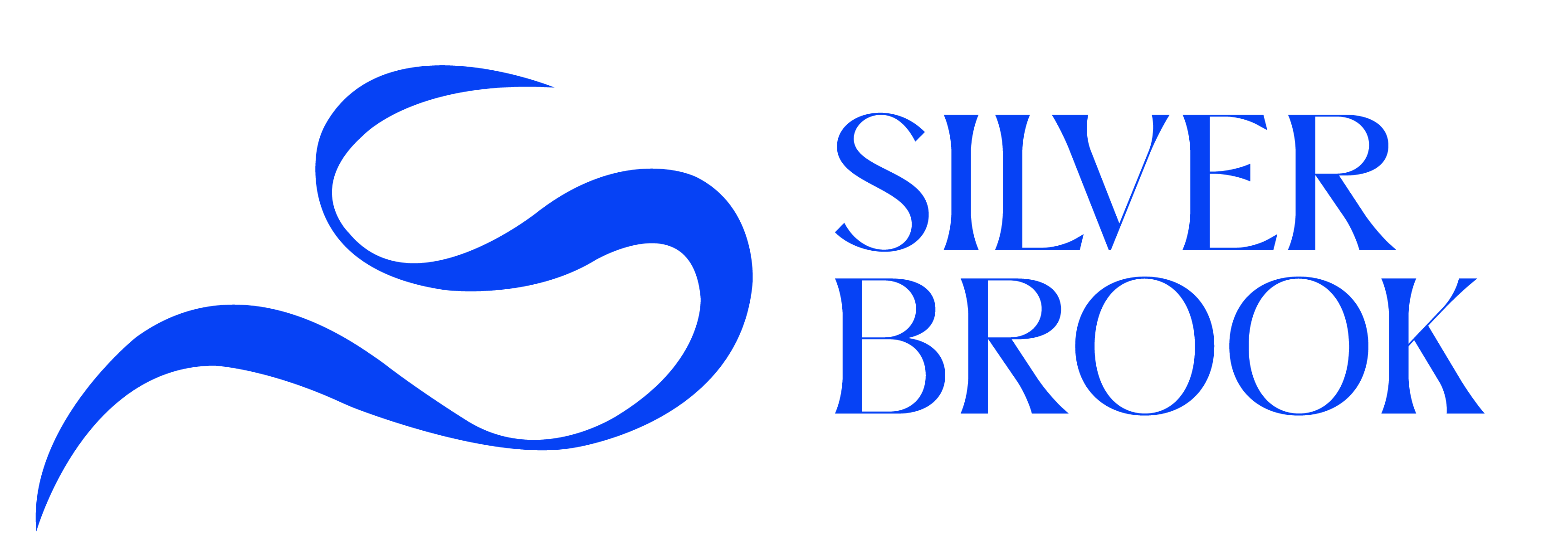 Silverbrook logo